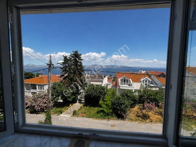 Adalar, İstanbul içerisinde satılık mülk