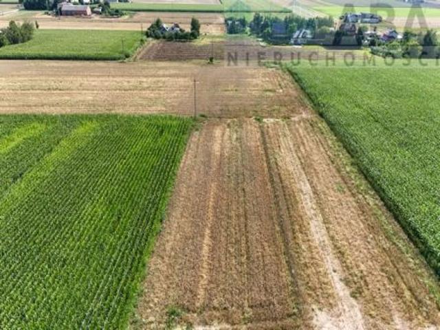 Grunt na sprzedaż w Kłodawa, powiat kolski
