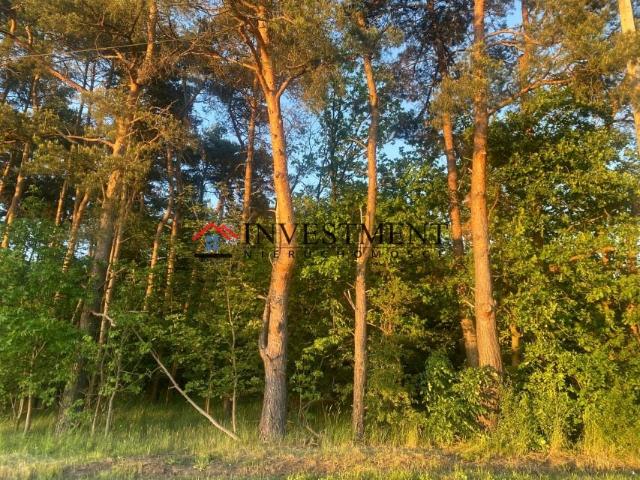 Grunt na sprzedaż w Kędzierzyn-koźle, Opolskie