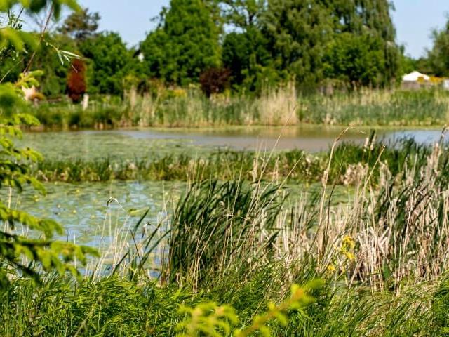 Dom na sprzedaż w Elbląg, Warmińsko-mazurskie