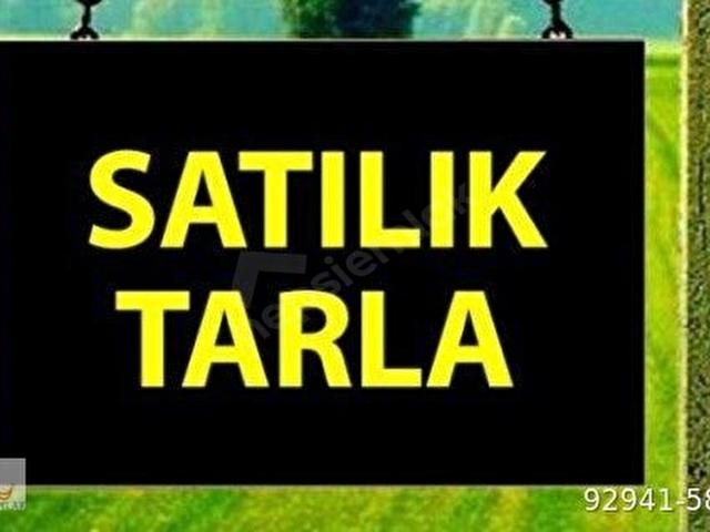 Beypınar, Kırklareli Merkez içerisinde satılık Arsa