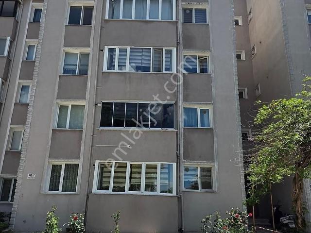 Kırklareli Merkez, Kirklareli içerisinde kiralık mülk
