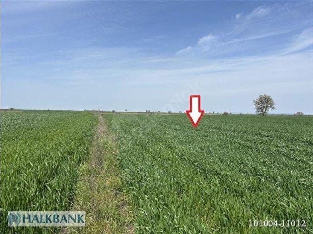 Lüleburgaz, Kirklareli içerisinde satılık Arsa