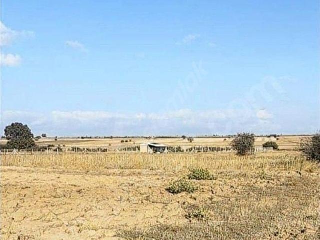 Değirmencik, Kırklareli Merkez içerisinde satılık Arsa
