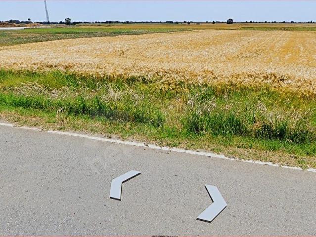 Cevizköy, Pınarhisar içerisinde satılık Arsa