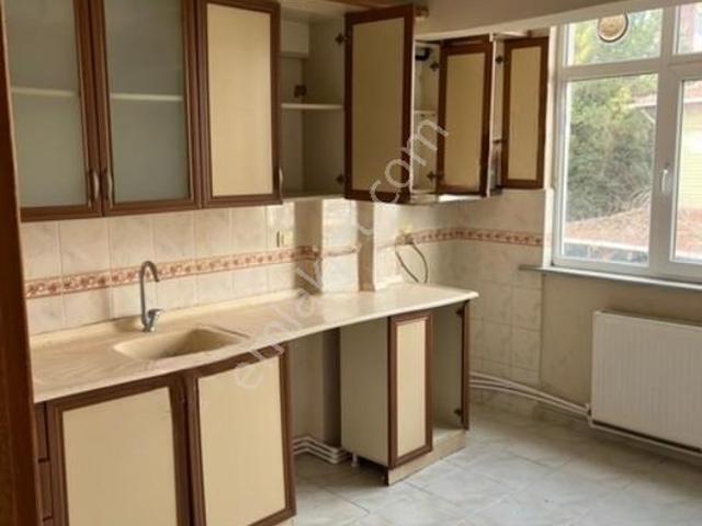 Devlet Mahallesi, Vize içerisinde kiralık mülk