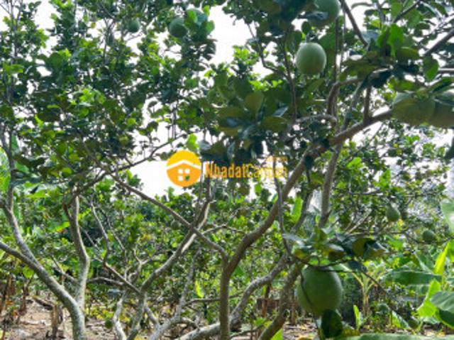 Mặt bằng bán