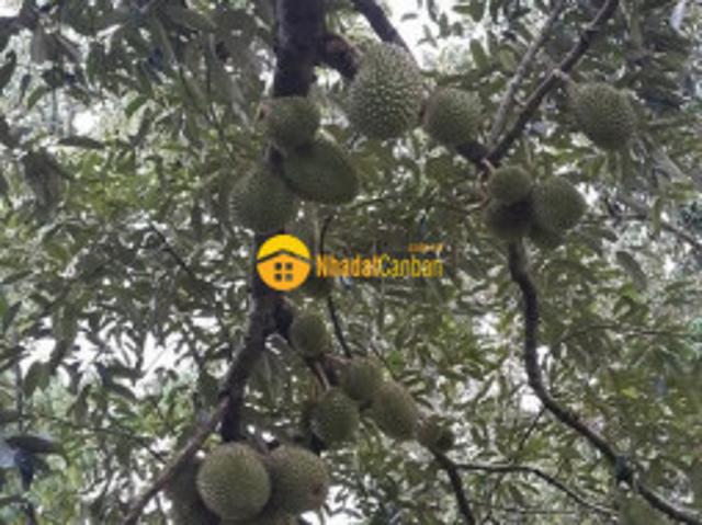 Mặt bằng bán