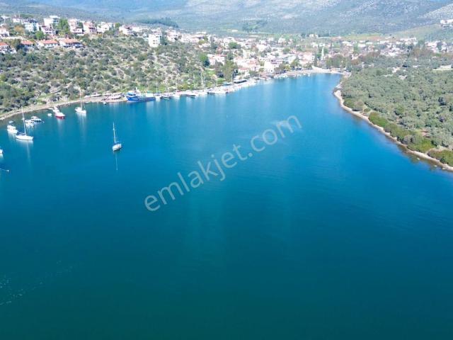 Milas, Muğla içerisinde satılık Villa