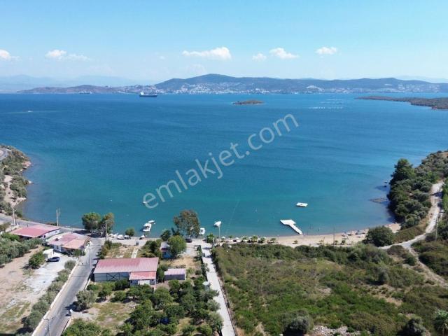 Milas, Muğla içerisinde kiralık Villa