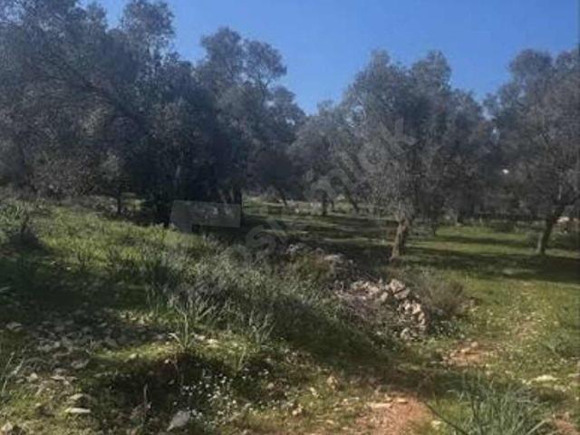 Bodrum, Muğla içerisinde satılık Arsa