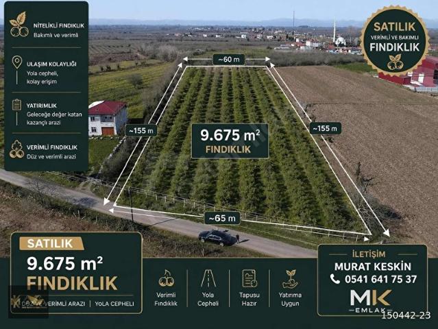 Çarşamba, Samsun içerisinde satılık Arsa