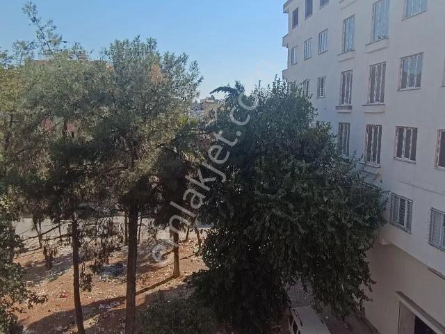 Kiziltepe, Mardin içerisinde kiralık mülk