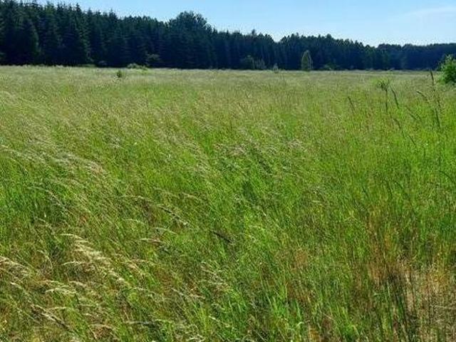 Grunt na sprzedaż w Narew, Podlaskie