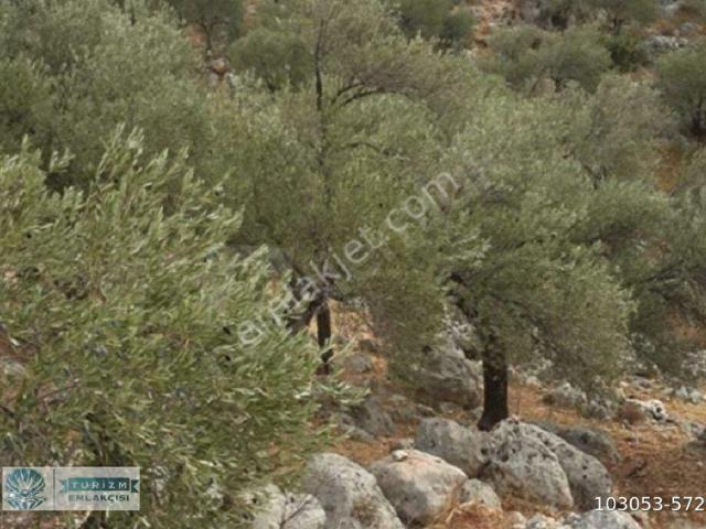 Kaş, Antalya içerisinde satılık mülk