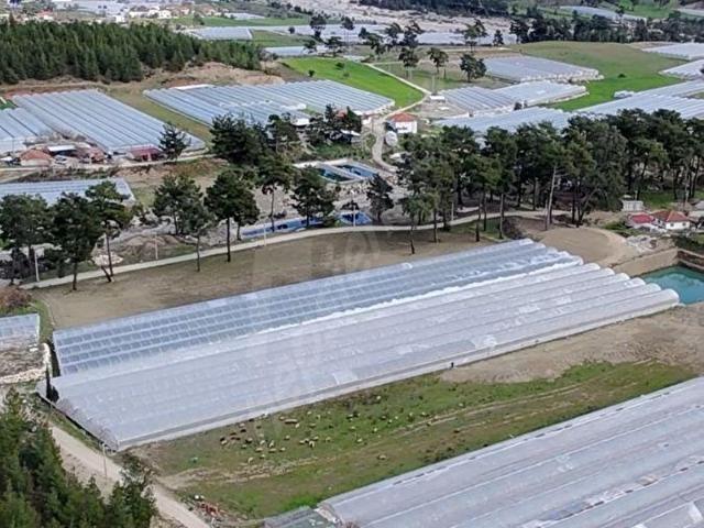 Dirgenler, Kaş içerisinde satılık Arsa