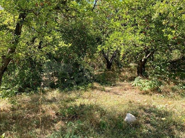 Kaş, Antalya içerisinde satılık Arsa