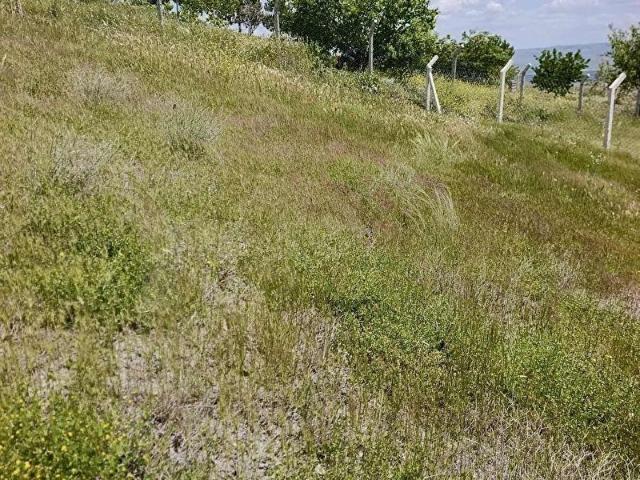 Ayaş, Ankara içerisinde satılık Arsa