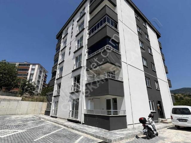 Tokat Merkez, Tokat içerisinde kiralık mülk