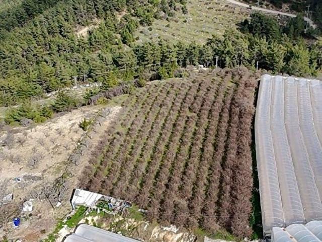 Karadağ, Kaş içerisinde satılık Arsa