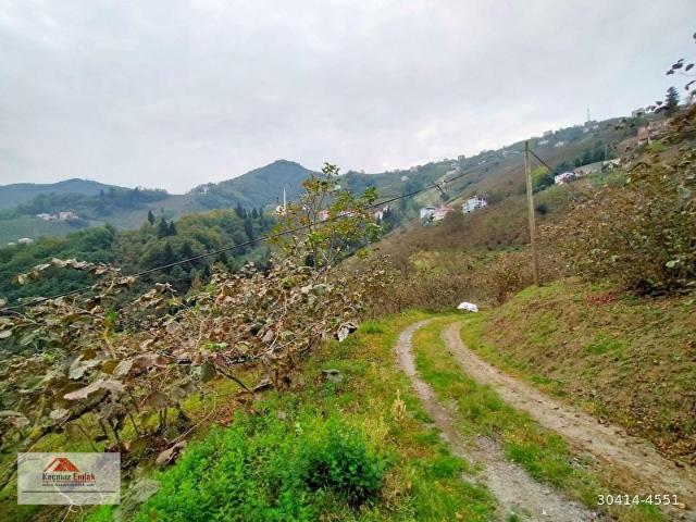 Trabzon içerisinde satılık Arsa