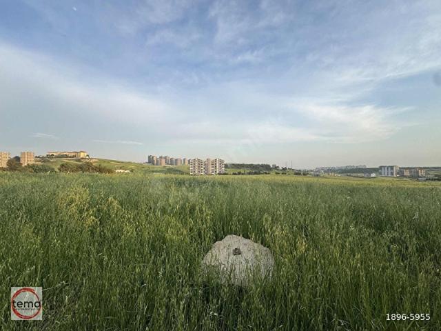 Şambayadı Mahallesi, Çukurova içerisinde satılık Dükkan