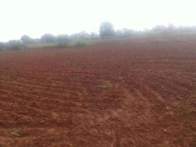 Land for sale in Multan, Islamabad Capital Territory