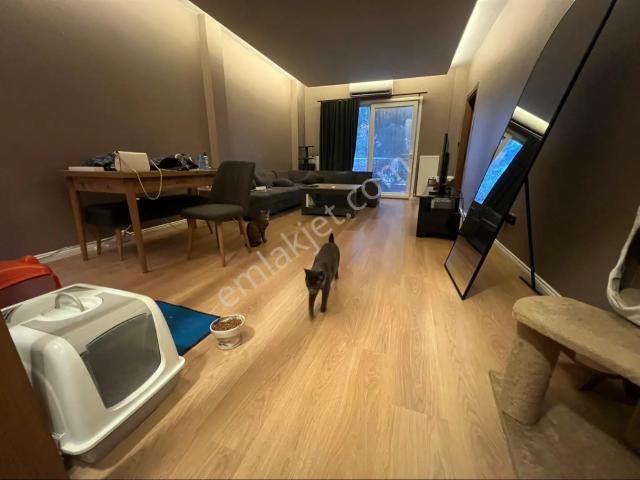 Kadiköy, İstanbul içerisinde kiralık mülk