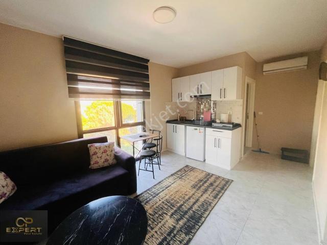 Kuşadasi, Aydin içerisinde kiralık mülk
