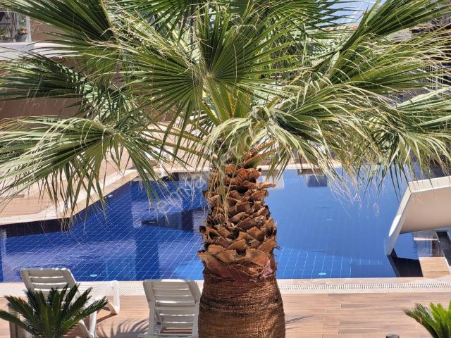 Kuşadasi, Aydin içerisinde kiralık mülk