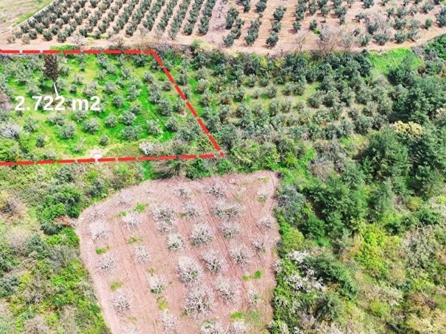Osmangazi, Bursa içerisinde satılık mülk