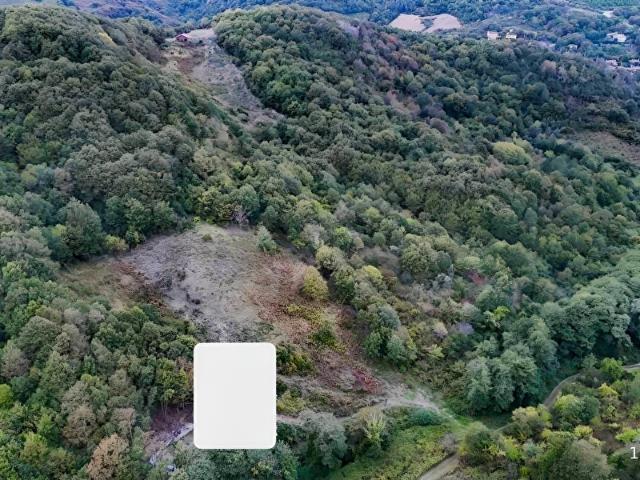 Bozgoca Mahallesi, Şile içerisinde satılık Arsa