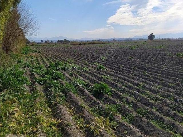 Kadirli, Osmaniye içerisinde satılık Arsa