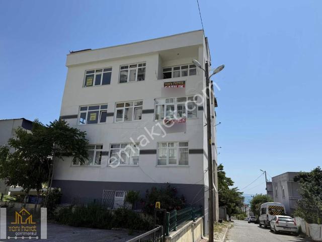İlkadim, Samsun içerisinde kiralık mülk