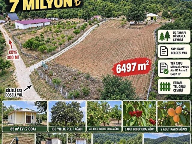 Demiroluk, Kadınhanı içerisinde satılık mülk