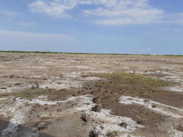 Land for sale in Gujarat