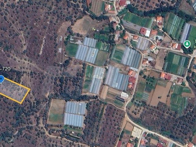 Milas, Muğla içerisinde satılık mülk