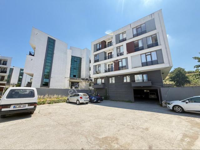 Düzce Merkez, Düzce içerisinde kiralık mülk