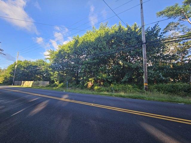 Land for sale in Pahoa, Hawaiʻi County