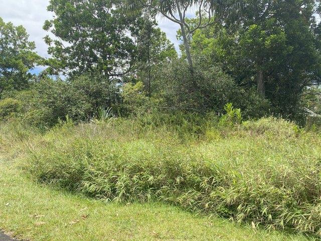 Land for sale in Pahoa, Hawaiʻi County
