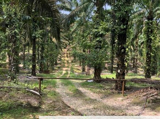 Shop for sale in Kluang