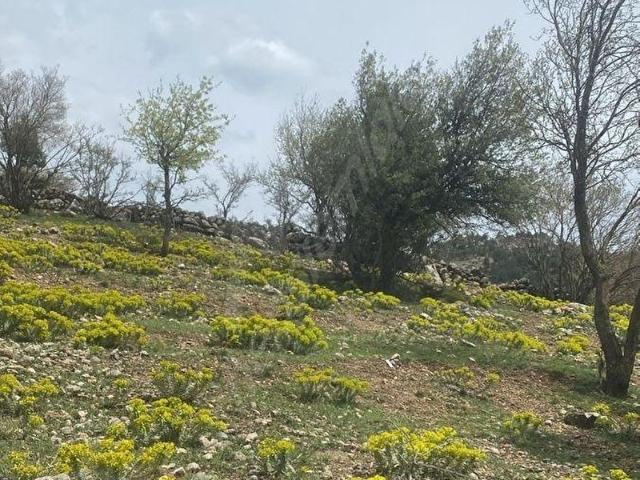 Tarsus, Mersin içerisinde satılık Arsa