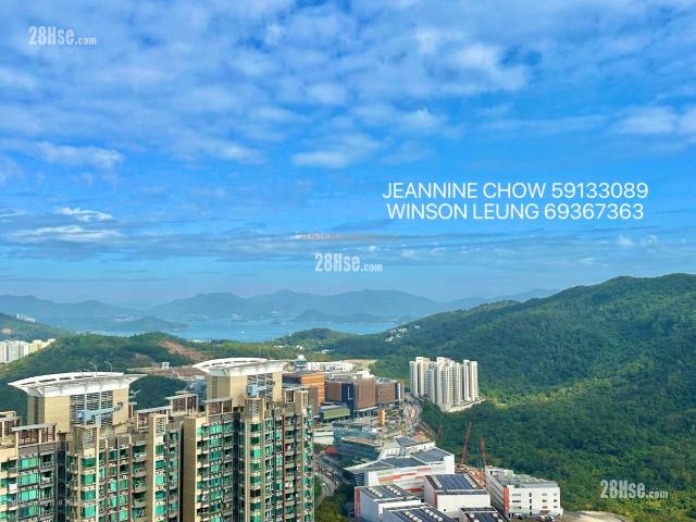 提供 出售 的物件。