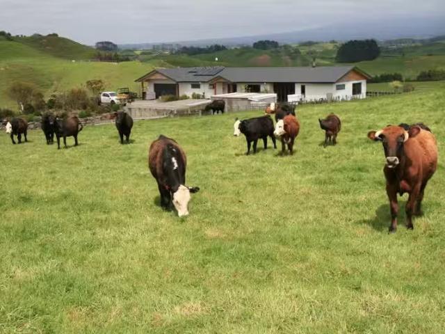 House for rent in Kaimata, New Plymouth District