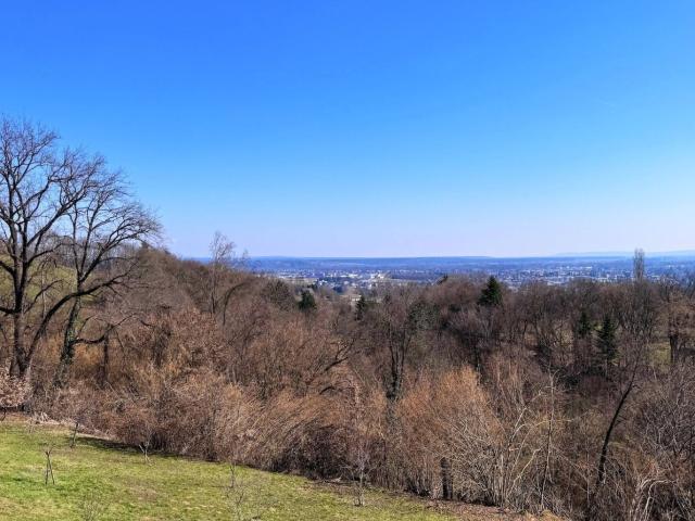 Haus kaufen in Kaindorf an der Sulm, Steiermark