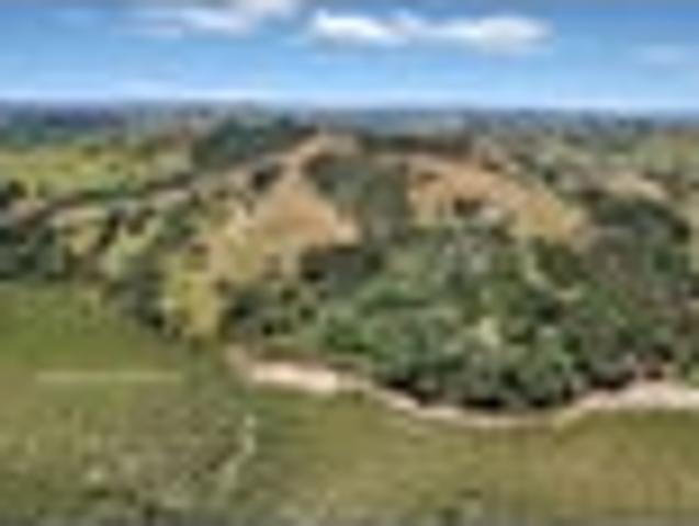 Land for sale in Northland