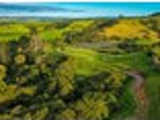 Land for sale in Kawau Island