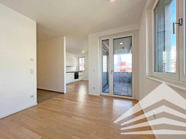 Apartment mieten in Linz, Altstadtviertel