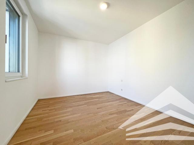Apartment mieten in Linz, Altstadtviertel