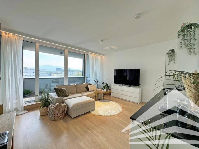 Apartment mieten in Linz, Altstadtviertel